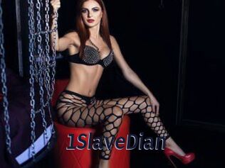1SlaveDian