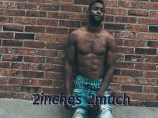 2inches_2much