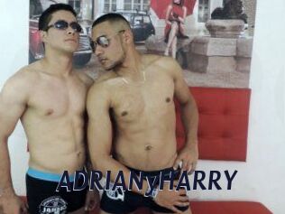 ADRIANyHARRY Site Cul