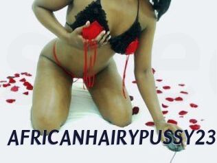 AFRICANHAIRYPUSSY23