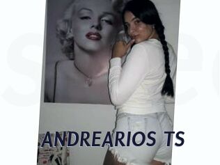 ANDREARIOS_TS