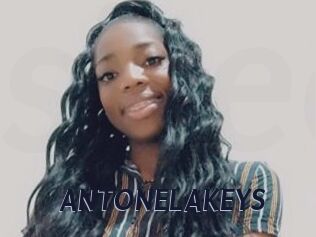 ANTONELAKEYS
