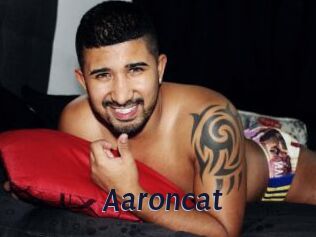 Aaroncat