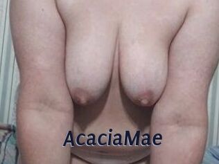 AcaciaMae