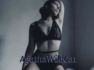 AgathaWildCat