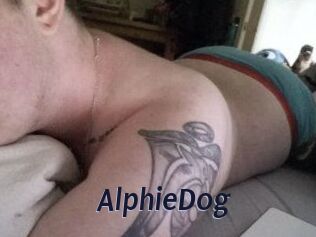Alphie_Dog