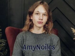 AmyNoiles