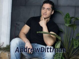 AndrewDittman