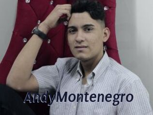 AndyMontenegro