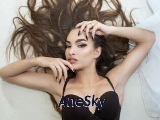 AneSky