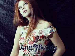 AngryBunny
