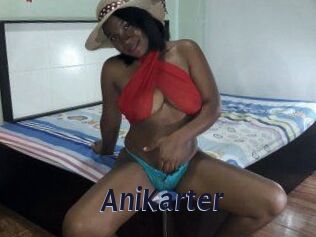 AniKarter