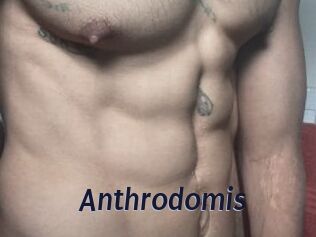Anthrodomis