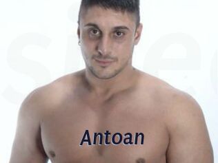 Antoan