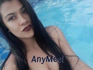 AnyMeel