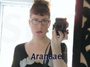 Araneae