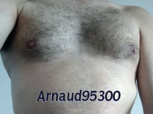 Arnaud95300