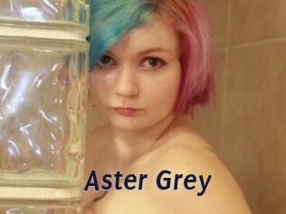 Aster_Grey