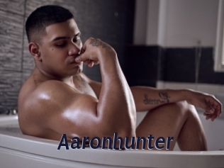 aaronhunter Site Cul