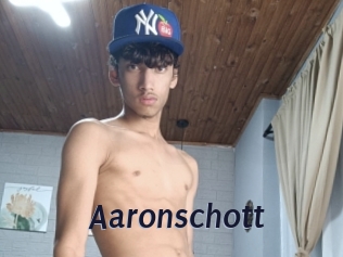 aaronschott Site Cul