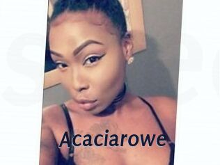 Acacia_rowe