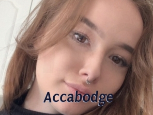 Accabodge