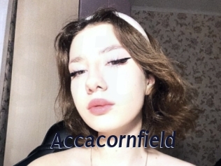 Accacornfield