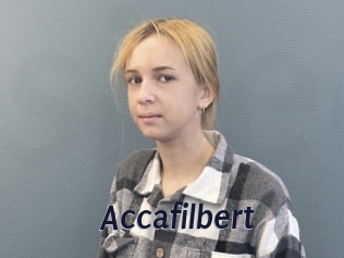 Accafilbert