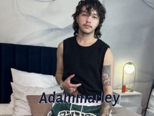 adammarley Site Cul