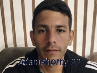 Adamshorny_22