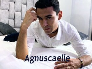 Agnuscaelie