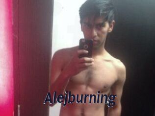 Alejburning