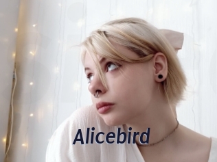 Alicebird