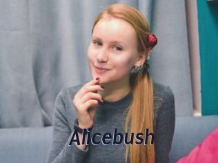 Alicebush