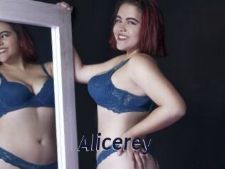 Alicerey