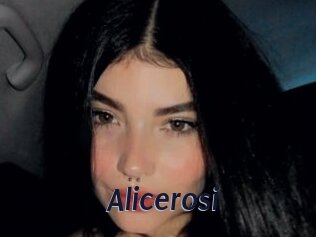 Alicerosi