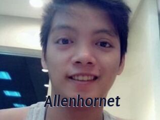 Allen_hornet