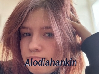 Alodiahankin