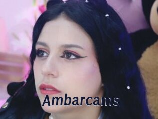 Ambarcams