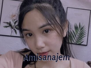 Amisanajem