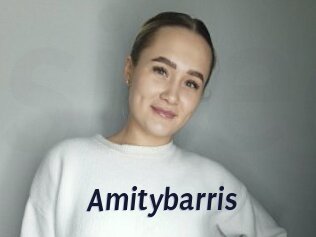 Amitybarris
