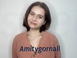 Amitygornall
