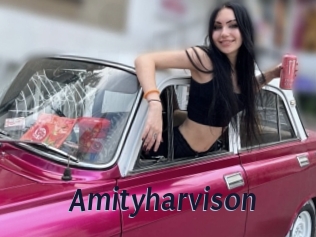 Amityharvison