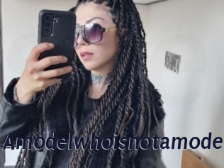 Amodelwhoisnotamodel