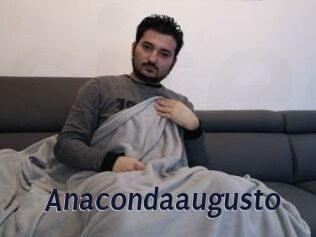 Anacondaaugusto