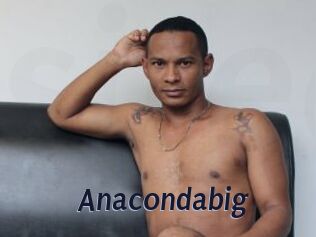 Anacondabig