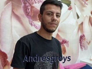 Andresgreys