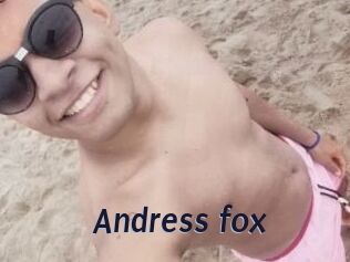 Andress_fox