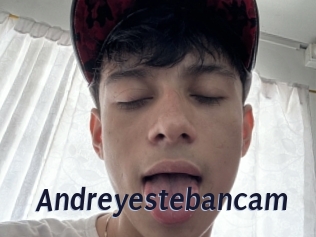 Andreyestebancam