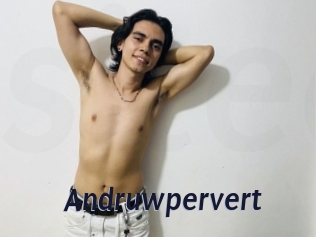 Andruwpervert
